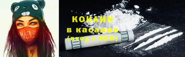 дживик Аркадак