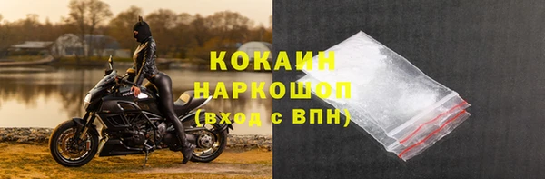 дживик Аркадак