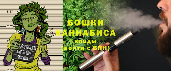 бошки Алексин