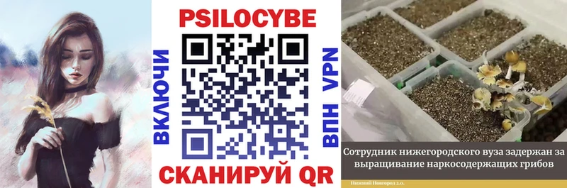 как найти закладки  Старый Оскол  Галлюциногенные грибы GOLDEN TEACHER 