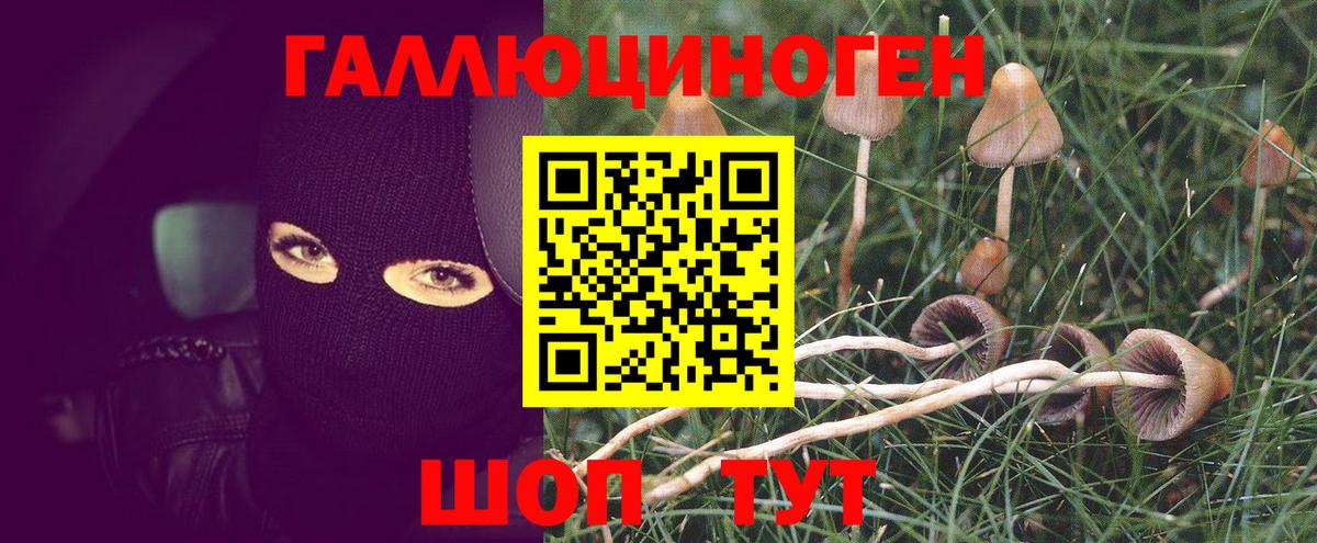 Псилоцибиновые грибы ЛСД Старый Оскол