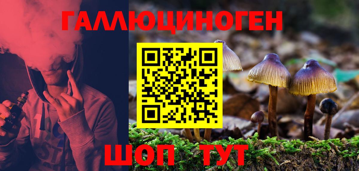 Старый Оскол  Галлюциногенные грибы прущие грибы  Вход с VPN 